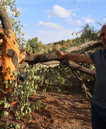 Köylüler Yağmurlu Havada Dışarı Çıkmaya Korkuyor: Aynı Bölgeye 3 Defa Yıldırım Düştü