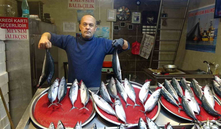 Palamutun Avı Azalıp Avlanan Palamutlar Da İri̇leşti̇kçe Fi̇yatı Da Arttı