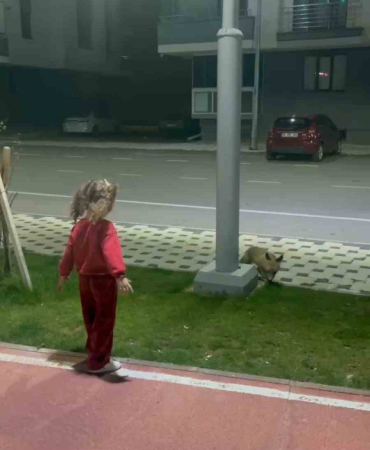 Parkta Oyun Oynayan Çocuğun Ti̇lki̇yle Karşılaştığı Anlar Kamerada