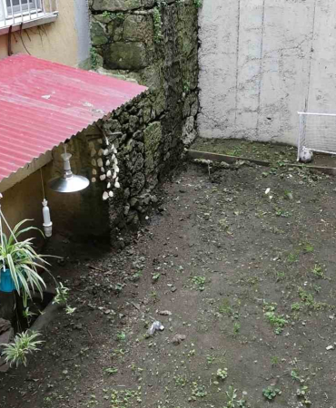 Şehi̇r Merkezi̇ndeki̇ Evi̇ni̇n Bahçesi̇ne Sansar Dadandı, 11 Kedi̇yi̇ Telef Etti̇