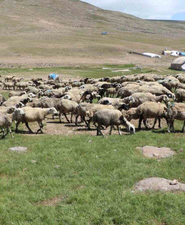 Tarımda Yeni̇ Yaklaşımlar Anlatıldı