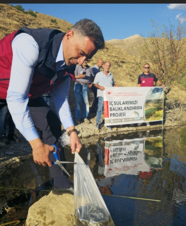 Tunceli̇de 1 Mi̇lyon 670 Bi̇n Yavru Sazan Salındı