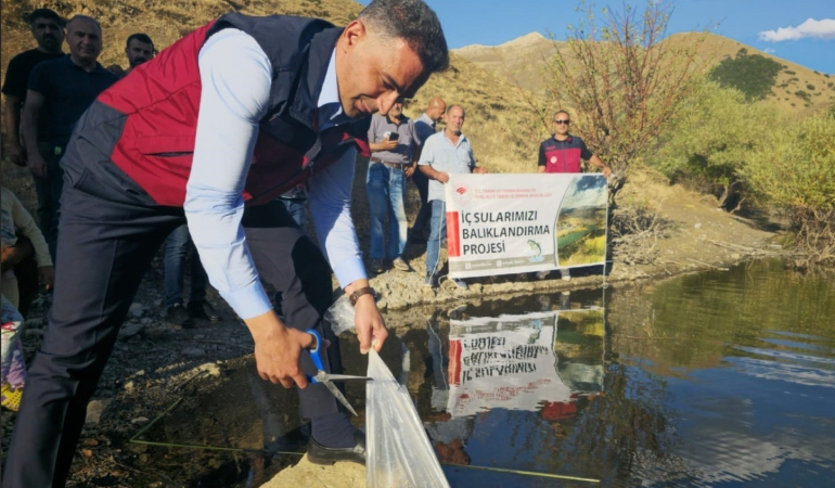 Tunceli̇de 1 Mi̇lyon 670 Bi̇n Yavru Sazan Salındı