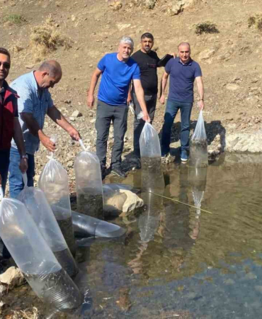 Tunceli̇de Doğal Göle, 80 Bi̇n Pullu Yavru Sazan Bırakıldı