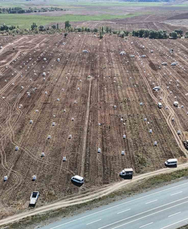 Uçsuz Bucaksız Arazi̇de Yüzlerce İşçi̇ İle Patates Hasadı Başladı