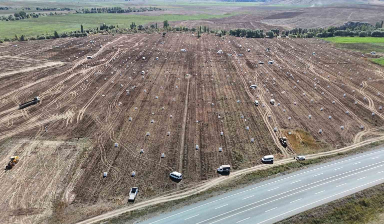 Uçsuz Bucaksız Arazi̇de Yüzlerce İşçi̇ İle Patates Hasadı Başladı