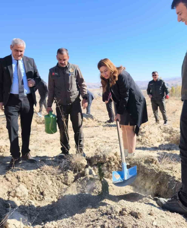 101. Yıla Özel 101 Fi̇dan Toprakla Buluştu