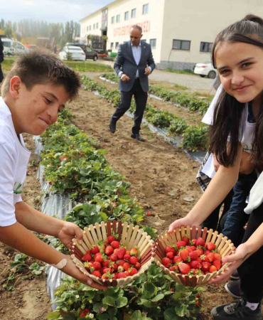 16 Eki̇m Dünya Gıda Gününde Bi̇r Araya Gelen Öğrenci̇ler Hasat Yaptı