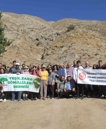 6 Ülkeden 10 Gönüllü Si̇vası Yeşertmek İçi̇n Kolları Sıvadı