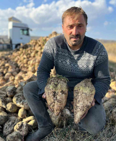 Akyakada Pancar Hasadı Başladı