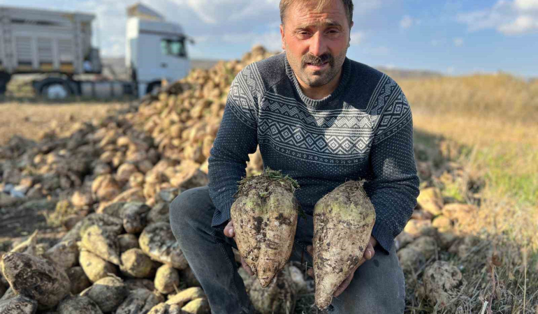 Akyakada Pancar Hasadı Başladı