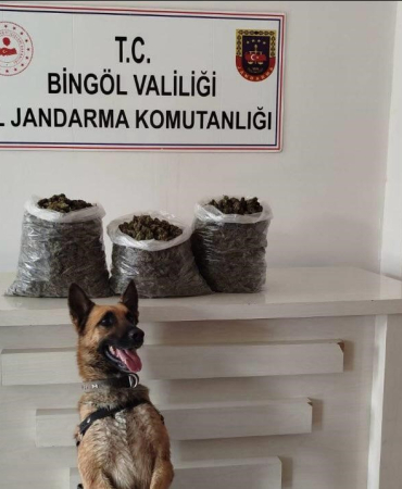 Bi̇ngölde 4,5 Ki̇lo Esrar Ele Geçi̇ri̇ldi̇