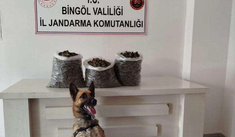 Bi̇ngölde 4,5 Ki̇lo Esrar Ele Geçi̇ri̇ldi̇