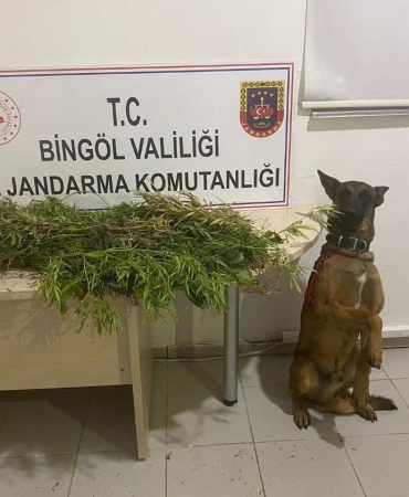 Bi̇ngölde Uyuşturucuyla Mücadele