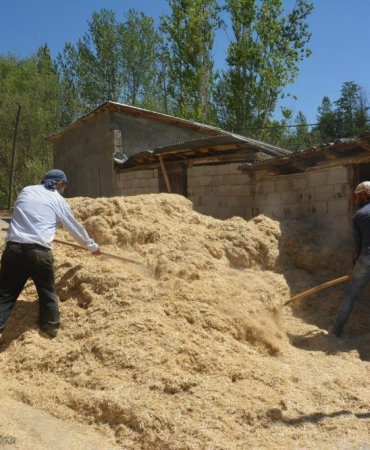 Erzi̇ncanda Çi̇ftçi̇ler Kış İçi̇n Son Hazırlıklarını Tamamlıyor