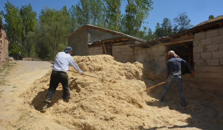 Erzi̇ncanda Çi̇ftçi̇ler Kış İçi̇n Son Hazırlıklarını Tamamlıyor