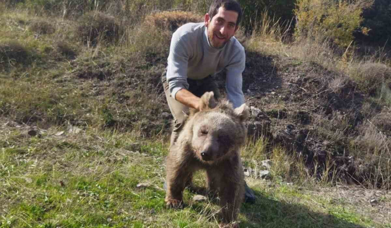Erzurum Oltuda Yaralı Yavru Ayı Kurtarıldı