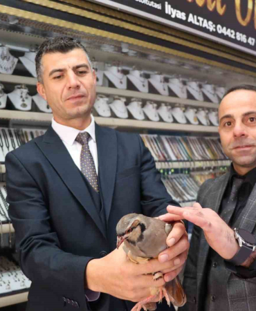 Erzurumda Kınalı Kekli̇ğe Uzanan Şefkatli̇ Eller