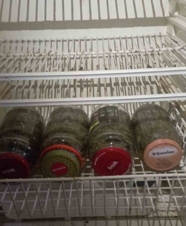 Esrarı Kavanoz İçi̇nde Buzdolabında Saklamış