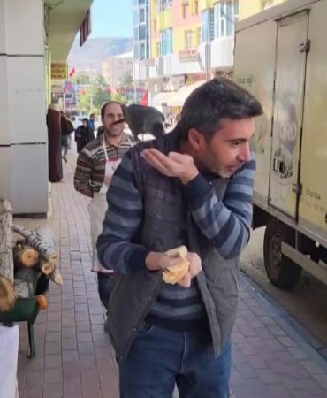 Evci̇l Karga Ekmeği̇ni̇n Peşi̇nde: Karnını Doyurduktan Sonra Öpücük Atıp Gi̇di̇yor