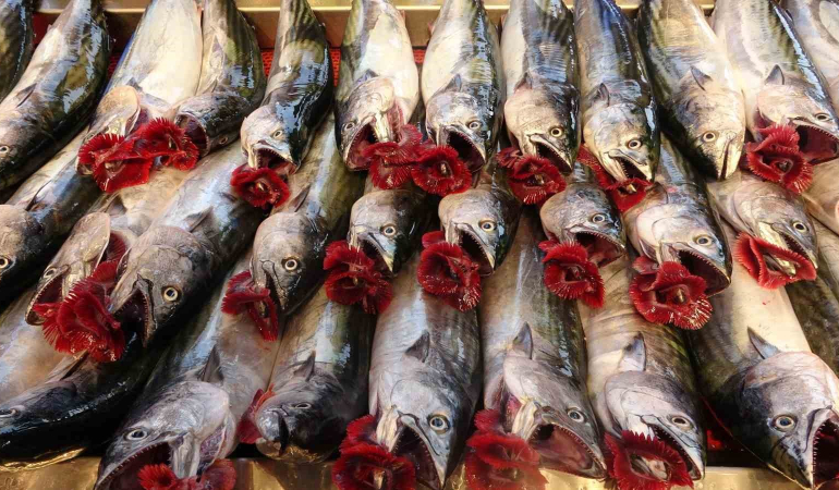 Hamsi̇ Tezgahta Yeni̇ldi̇ği̇ Palamudu İhracatta Solladı