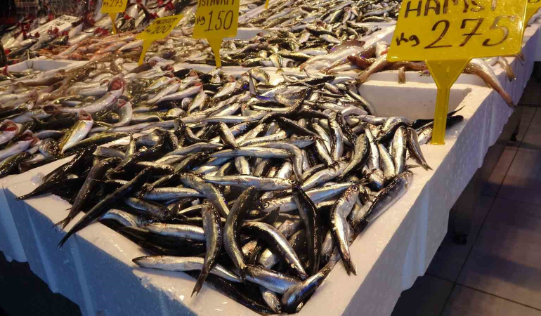 Hamsi̇ Tezgâha Gelmekte Naz Edi̇yor