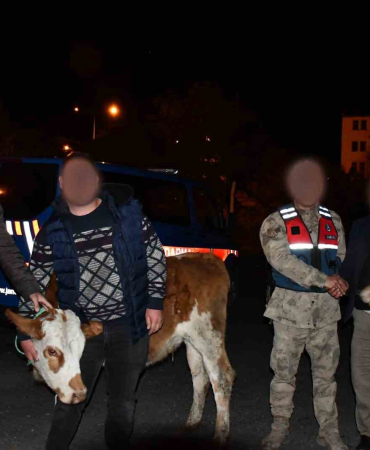 Horasandan Hayvan Çalan Hırsız Sarıkamışta Şakalandı