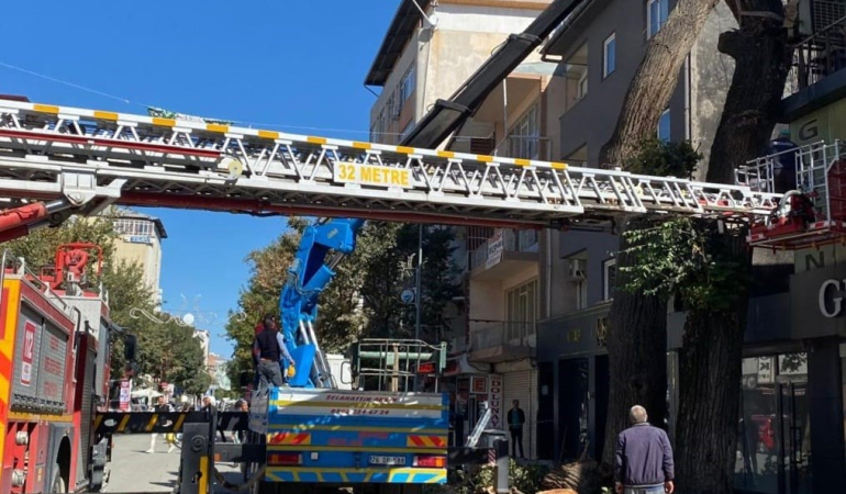 Iğdırda Tehli̇ke Arz Eden Ağaçlara Müdahale
