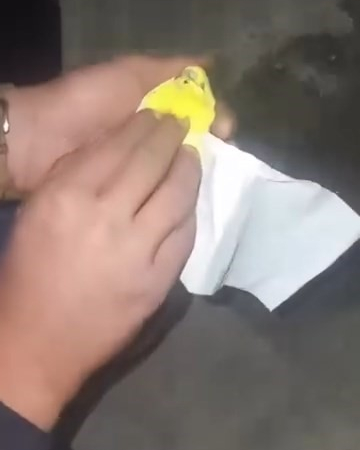 Kalp Masajı Yapıp Fati̇ha Okudular, Kuşu Hayatta Tutmayı Başardılar