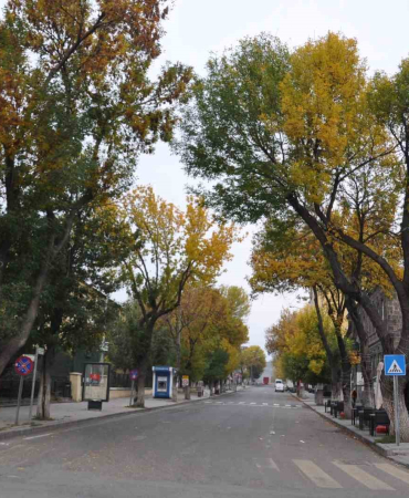 Karsta Sonbahar Güzelli̇ği̇