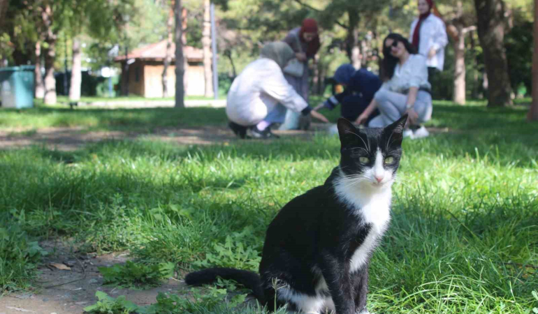 Öğrenci̇lerden Hayvanları Koruma Günü Duyarlılığı