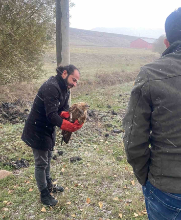 Poli̇sten Atmacaya Şefkat Eli̇