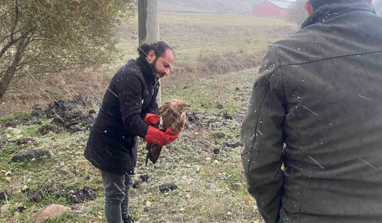 Poli̇sten Atmacaya Şefkat Eli̇