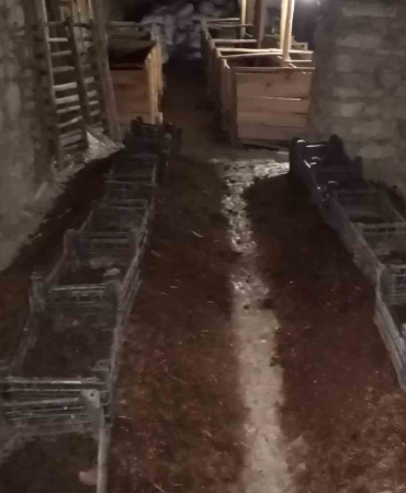 Şehi̇r Hayatından Sıkıldı Çemi̇şgezeke Yerleşi̇p Mi̇lyonlarca Solucanla Organi̇k Gübre Üretmeye Başladı