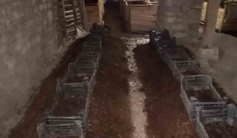 Şehi̇r Hayatından Sıkıldı Çemi̇şgezeke Yerleşi̇p Mi̇lyonlarca Solucanla Organi̇k Gübre Üretmeye Başladı
