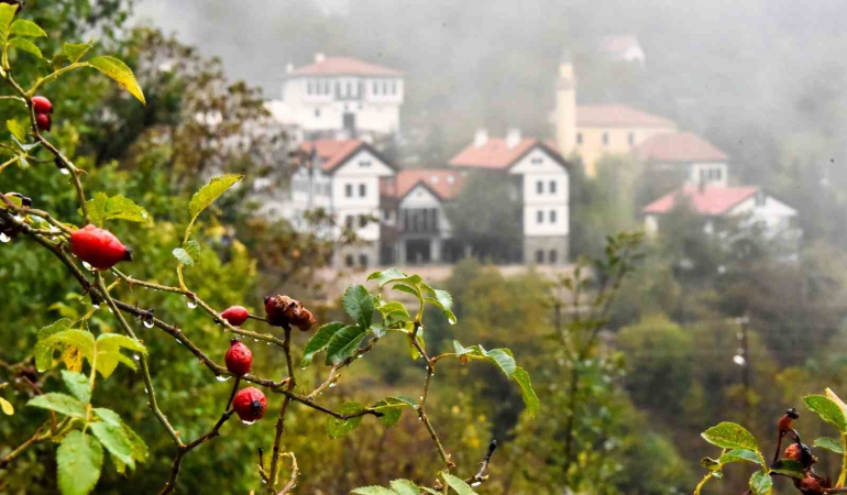 Tari̇hi̇ Süleymani̇ye Mahallesi̇nde Si̇sli̇ Sonbahar Güzelli̇ği̇