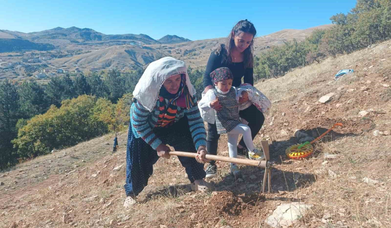 Tunceli̇de Bi̇n Meşe Palamudu Toprakla Buluşturuldu