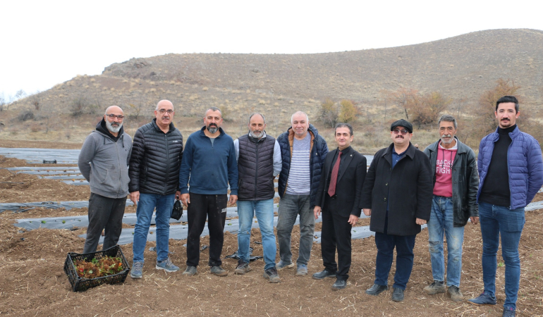 Tatlısu Köyü, Çileğin Merkezi Olacak