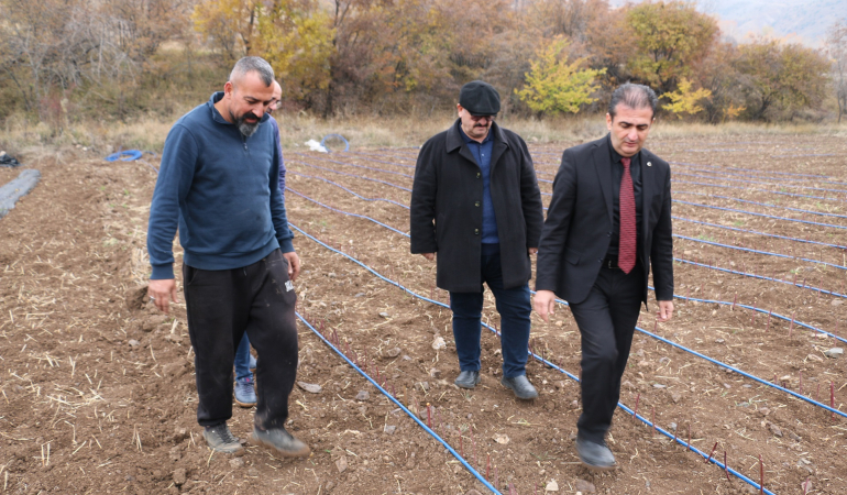 Erzincan’da böğürtlen yetiştiriciliği yaygınlaşıyor