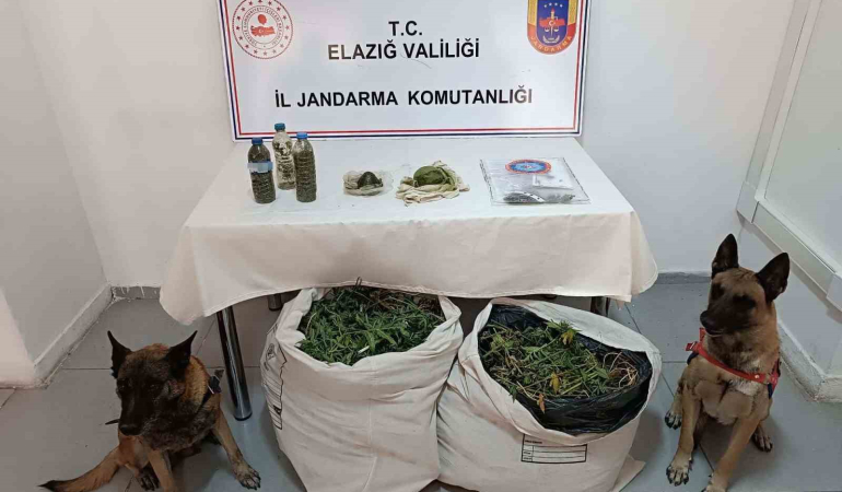 Çakmak Gazıyla Esrarın Kali̇tesi̇ni̇ Arttırmaya Çalışmışlar: Elazığda Uyuşturucu Taci̇rleri̇ne Darbe
