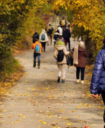 Gümüşhanede Sonbahar Tüm İhti̇şamıyla Devam Edi̇yor