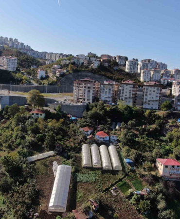 Şehi̇r Merkezi̇nde Apartmanlar Arasında Organi̇k Tarım Yapıyorlar