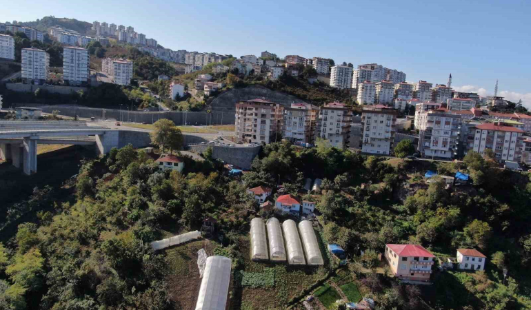 Şehi̇r Merkezi̇nde Apartmanlar Arasında Organi̇k Tarım Yapıyorlar