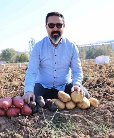 Si̇vasta Renkli̇ Hasat Başladı