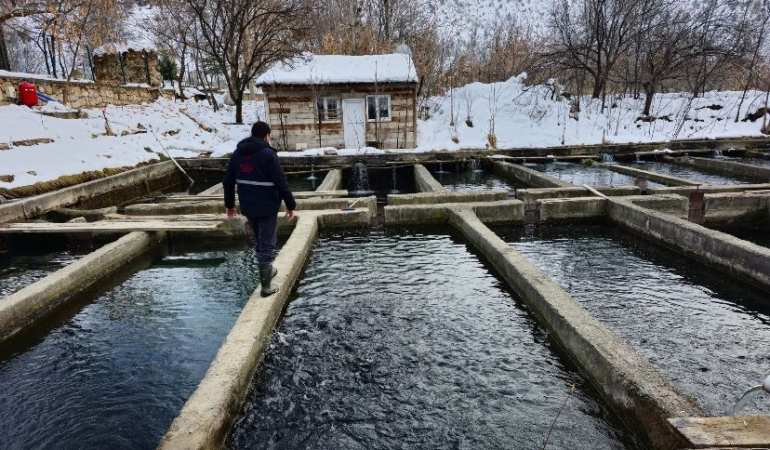 Erzincan’da tesis ve kuluçkahane denetimler sürüyor