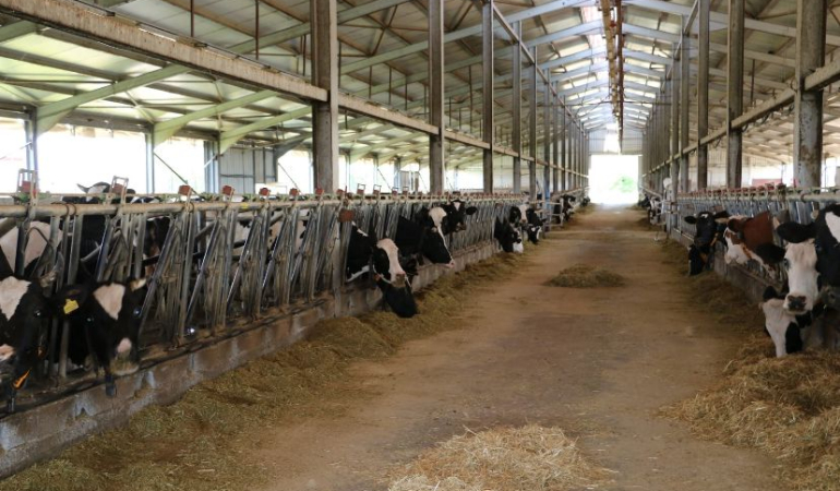 Erzincan’da tarımsal örgütlerde 55 bin üye var