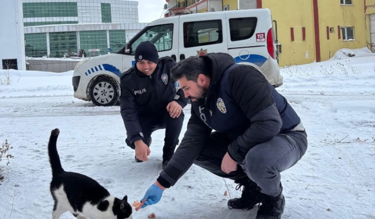 Refahiye’de sokak hayvanları için mama dağıtımı yapıldı