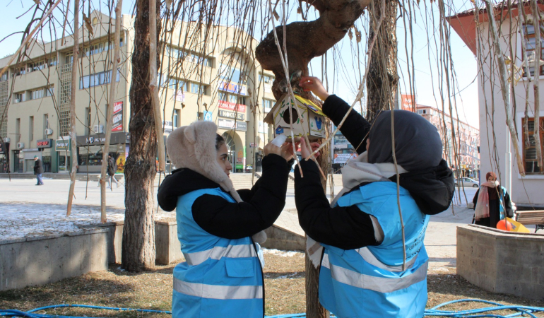 Gönül Sarayı projesi: Sokak hayvanlarına şefkat ve destek