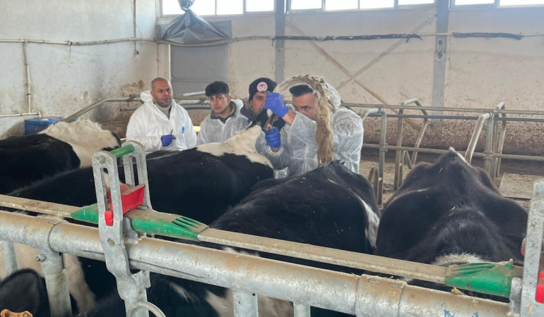 Erzincan’da 4 işletme arilik için başvurdu