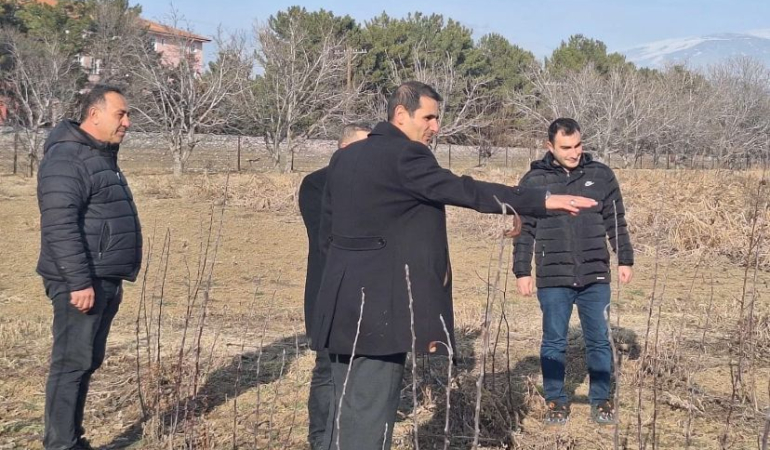 Meyve fidanları bahara hazırlanıyor